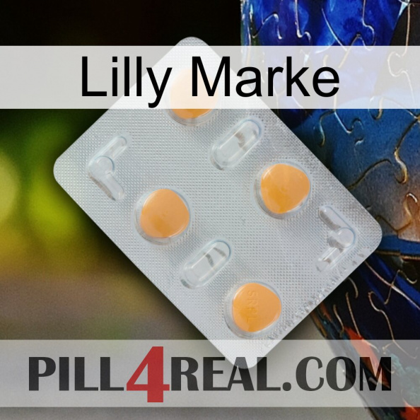 Lilly Brand 24.jpg